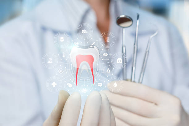 Best Traditional Braces  in Rogersville, TN
